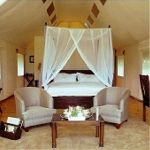 Gorah - Inside of Tent